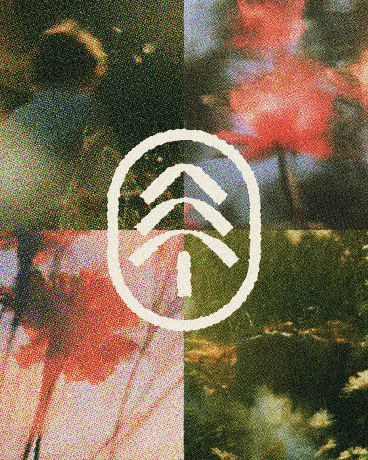 @inbranditdesign — Branding (3 of 4)